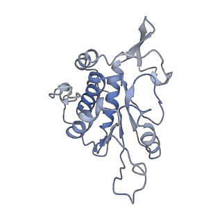 10315_6sv4_Pb_v1-2
The cryo-EM structure of SDD1-stalled collided trisome.