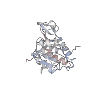 10315_6sv4_Pc_v1-2
The cryo-EM structure of SDD1-stalled collided trisome.