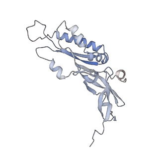 10315_6sv4_Q_v1-2
The cryo-EM structure of SDD1-stalled collided trisome.