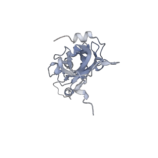 10315_6sv4_Qb_v1-2
The cryo-EM structure of SDD1-stalled collided trisome.