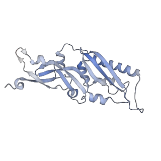 10315_6sv4_Qc_v1-2
The cryo-EM structure of SDD1-stalled collided trisome.