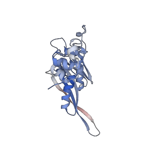 10315_6sv4_R_v1-2
The cryo-EM structure of SDD1-stalled collided trisome.