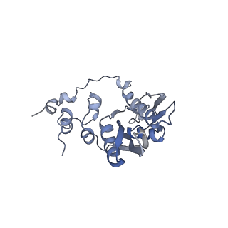 10315_6sv4_Rb_v1-2
The cryo-EM structure of SDD1-stalled collided trisome.