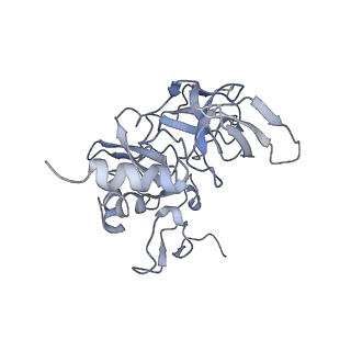 10315_6sv4_S_v1-2
The cryo-EM structure of SDD1-stalled collided trisome.