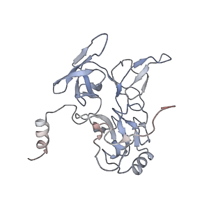 10315_6sv4_Sb_v1-2
The cryo-EM structure of SDD1-stalled collided trisome.