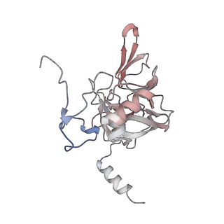 10315_6sv4_Sc_v1-2
The cryo-EM structure of SDD1-stalled collided trisome.