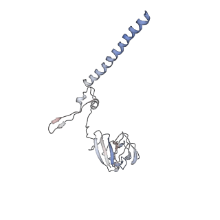 10315_6sv4_T_v1-2
The cryo-EM structure of SDD1-stalled collided trisome.