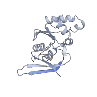 10315_6sv4_U_v1-2
The cryo-EM structure of SDD1-stalled collided trisome.
