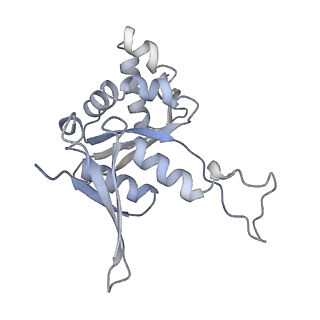 10315_6sv4_Ub_v1-2
The cryo-EM structure of SDD1-stalled collided trisome.