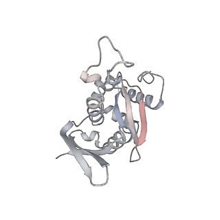 10315_6sv4_Uc_v1-2
The cryo-EM structure of SDD1-stalled collided trisome.
