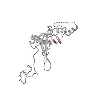 10315_6sv4_Vc_v1-2
The cryo-EM structure of SDD1-stalled collided trisome.