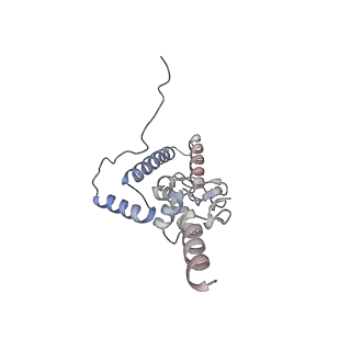 10315_6sv4_Wc_v1-2
The cryo-EM structure of SDD1-stalled collided trisome.