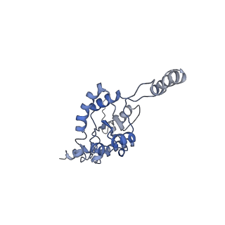 10315_6sv4_XA_v1-2
The cryo-EM structure of SDD1-stalled collided trisome.