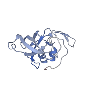 10315_6sv4_XB_v1-2
The cryo-EM structure of SDD1-stalled collided trisome.