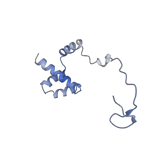 10315_6sv4_XC_v1-2
The cryo-EM structure of SDD1-stalled collided trisome.
