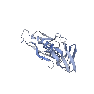 10315_6sv4_XD_v1-2
The cryo-EM structure of SDD1-stalled collided trisome.