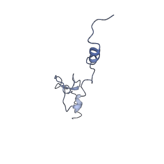 10315_6sv4_XF_v1-2
The cryo-EM structure of SDD1-stalled collided trisome.