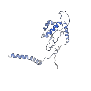 10315_6sv4_XJ_v1-2
The cryo-EM structure of SDD1-stalled collided trisome.