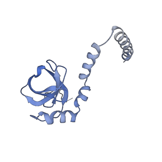 10315_6sv4_XM_v1-2
The cryo-EM structure of SDD1-stalled collided trisome.