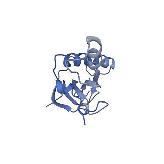 10315_6sv4_XN_v1-2
The cryo-EM structure of SDD1-stalled collided trisome.
