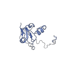 10315_6sv4_XR_v1-2
The cryo-EM structure of SDD1-stalled collided trisome.