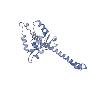 10315_6sv4_XU_v1-2
The cryo-EM structure of SDD1-stalled collided trisome.