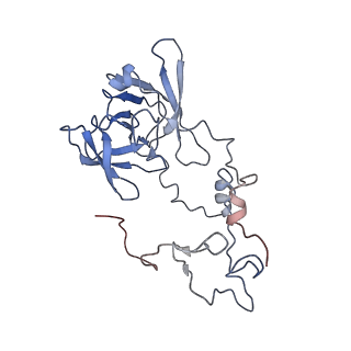 10315_6sv4_XW_v1-2
The cryo-EM structure of SDD1-stalled collided trisome.