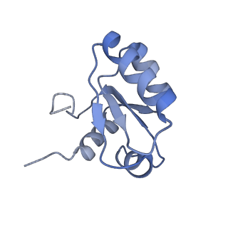 10315_6sv4_XY_v1-2
The cryo-EM structure of SDD1-stalled collided trisome.