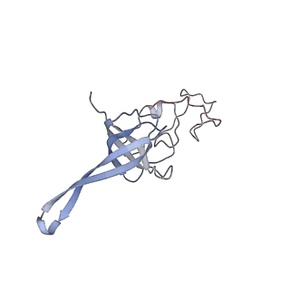 10315_6sv4_Xb_v1-2
The cryo-EM structure of SDD1-stalled collided trisome.