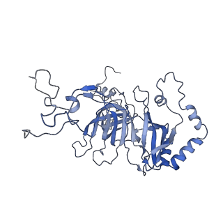 10315_6sv4_YA_v1-2
The cryo-EM structure of SDD1-stalled collided trisome.