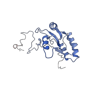 10315_6sv4_YB_v1-2
The cryo-EM structure of SDD1-stalled collided trisome.