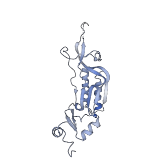 10315_6sv4_YD_v1-2
The cryo-EM structure of SDD1-stalled collided trisome.