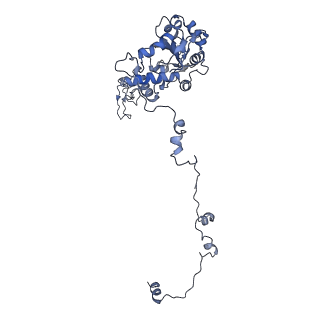 10315_6sv4_YE_v1-2
The cryo-EM structure of SDD1-stalled collided trisome.