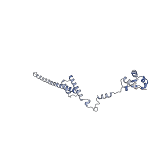 10315_6sv4_YF_v1-2
The cryo-EM structure of SDD1-stalled collided trisome.