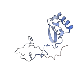 10315_6sv4_YG_v1-2
The cryo-EM structure of SDD1-stalled collided trisome.
