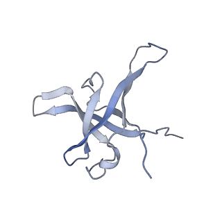 10315_6sv4_YK_v1-2
The cryo-EM structure of SDD1-stalled collided trisome.