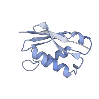 10315_6sv4_YL_v1-2
The cryo-EM structure of SDD1-stalled collided trisome.