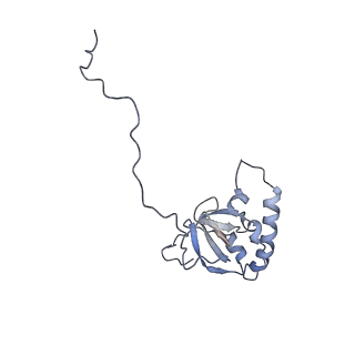 10315_6sv4_YM_v1-2
The cryo-EM structure of SDD1-stalled collided trisome.
