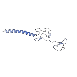 10315_6sv4_YN_v1-2
The cryo-EM structure of SDD1-stalled collided trisome.