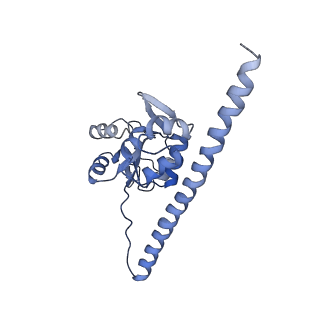 10315_6sv4_YO_v1-2
The cryo-EM structure of SDD1-stalled collided trisome.
