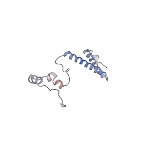 10315_6sv4_YP_v1-2
The cryo-EM structure of SDD1-stalled collided trisome.