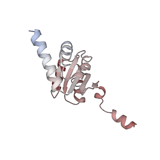 10315_6sv4_YU_v1-2
The cryo-EM structure of SDD1-stalled collided trisome.