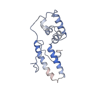 10315_6sv4_Y_v1-2
The cryo-EM structure of SDD1-stalled collided trisome.