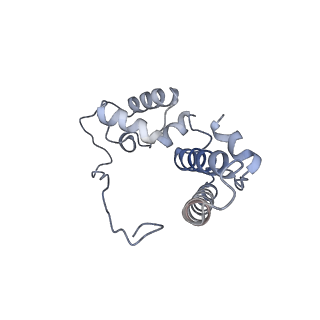 10315_6sv4_Yb_v1-2
The cryo-EM structure of SDD1-stalled collided trisome.