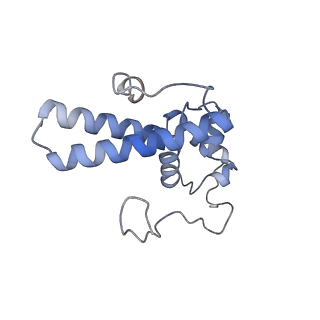 10315_6sv4_Yc_v1-2
The cryo-EM structure of SDD1-stalled collided trisome.