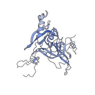 10315_6sv4_ZA_v1-2
The cryo-EM structure of SDD1-stalled collided trisome.