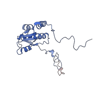 10315_6sv4_ZB_v1-2
The cryo-EM structure of SDD1-stalled collided trisome.