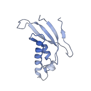 10315_6sv4_ZC_v1-2
The cryo-EM structure of SDD1-stalled collided trisome.