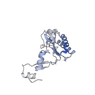 10315_6sv4_ZD_v1-2
The cryo-EM structure of SDD1-stalled collided trisome.