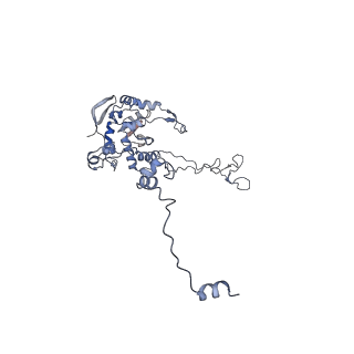 10315_6sv4_ZE_v1-2
The cryo-EM structure of SDD1-stalled collided trisome.